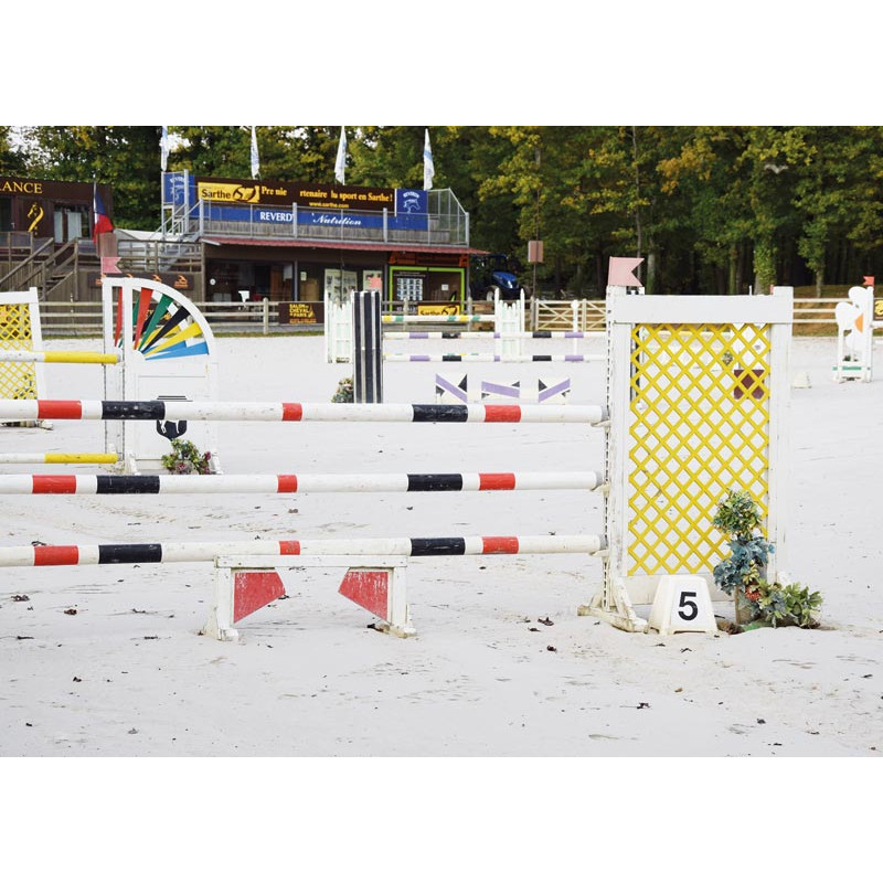 Jeu de plots avec autocollants pour parcours d'obstacles : p1217101