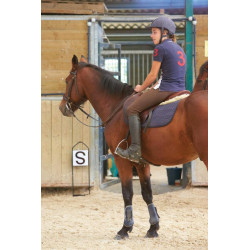 Jeu lettres de dressage sur support métallique : p1217107