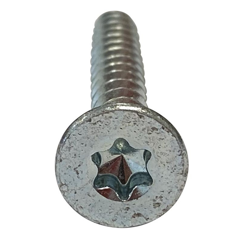 Vis pour remplissage bois : p1260195