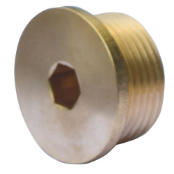 Bouchons de rechange pour Té femelle 3/4" : p1130846