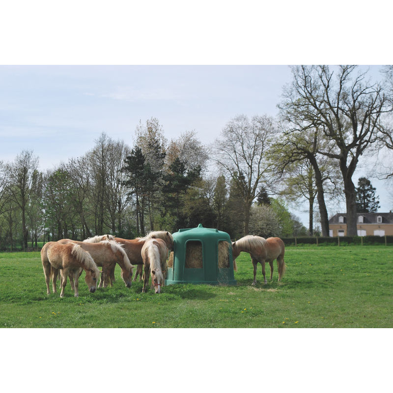 Râtelier de prairie RPE GM sans fond : p1213745