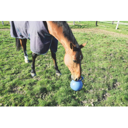 Fun ball : p1217011