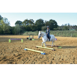 Mini cube d'obstacle : p1216601