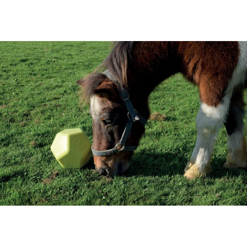 Drop Feeder : p1217001