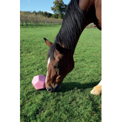 Drop Feeder : p1217001