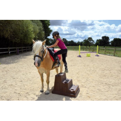 Cavaletti-montoir EASY-STEP* 2 marches : p1216261