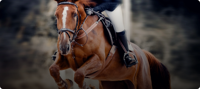 CSO : saut d'obstacle