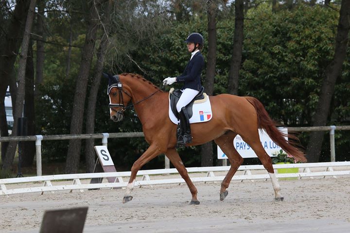 Carla-Marie Dufil cavalière de dressage