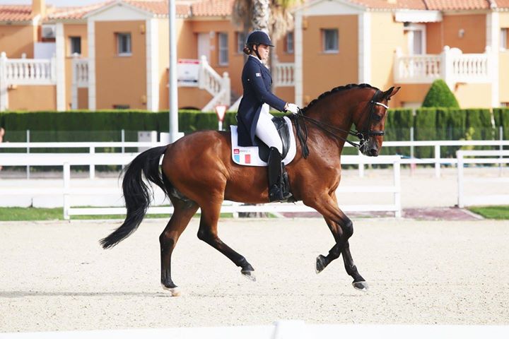 Caroline Dufil Cavalière de dressage