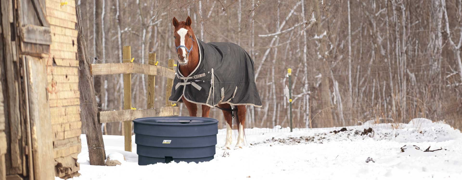 Quels sont les besoins en eau du cheval en hiver et quel abreuvoir antigel choisir ?
