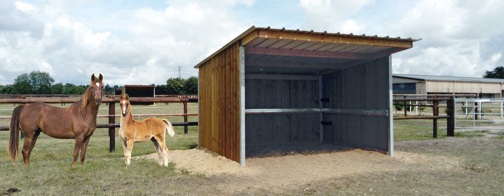 Comment choisir l’abri de pré pour son cheval ?