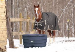 Quels sont les besoins en eau du cheval en hiver et quel abreuvoir antigel choisir ?