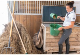 Quelle ration alimentaire donner à son cheval ?
