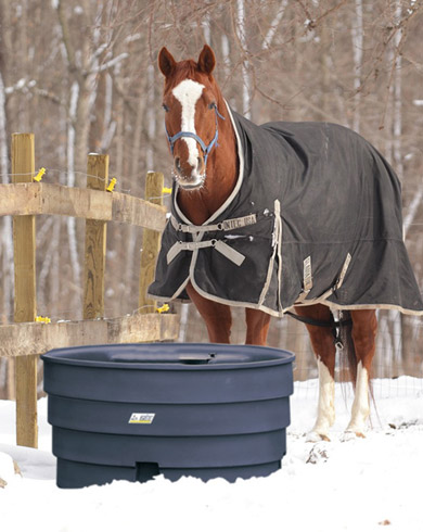Quels sont les besoins en eau du cheval en hiver et quel abreuvoir antigel choisir ?