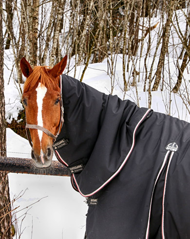 Bien choisir la taille de couverture de son cheval