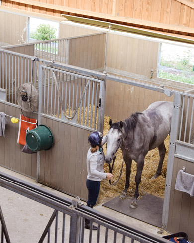 Comment calculer la surface du box nécessaire pour son cheval ?