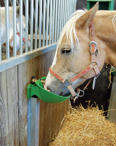 Bien choisir son abreuvoir !