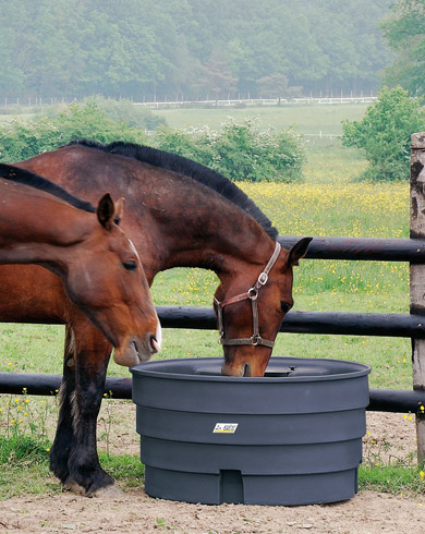 Abreuver ses chevaux en été