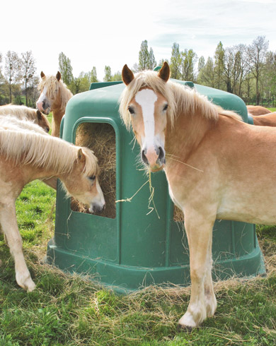 Bien choisir un râtelier de prairie !