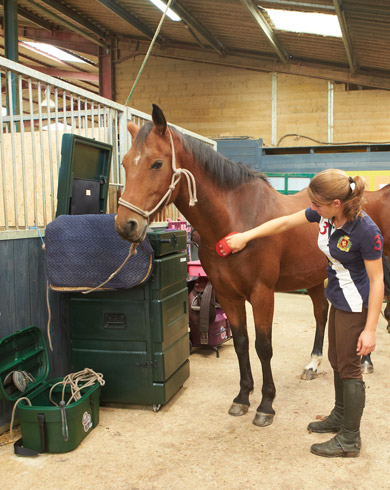 Tous les soins à prodiguer pour son cheval