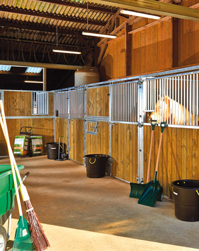 Astuces pour mettre son cheval à l’abri du froid en hiver