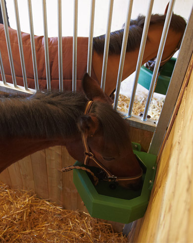 Comment aménager l'intérieur d'un box ?