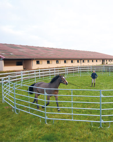 Choisir la bonne dimension pour son rond de longe