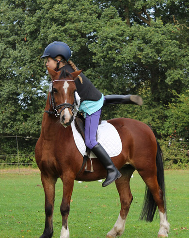 Le matériel d’équitation pour débutant