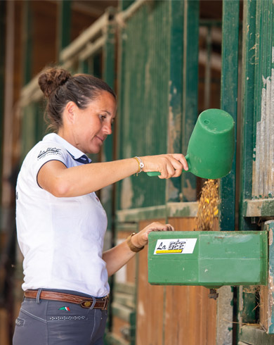 Quelle mangeoire pour chevaux choisir ? 