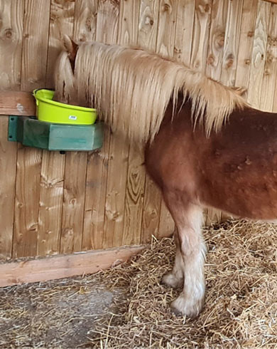 Bien préparer son cheval à l'arrivée de l'automne