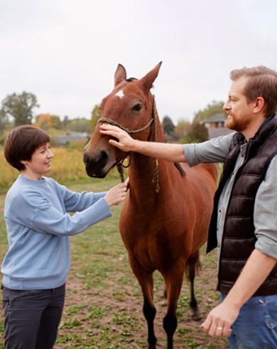 Que faire de mon cheval pendant mes vacances d'été ?