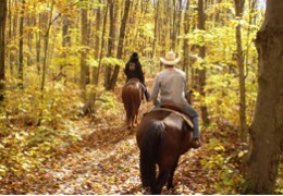 Bien préparer son cheval à l’arrivée de l’automne Bien préparer son cheval à l’arrivée de l’automne
