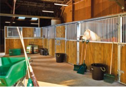 Astuces pour mettre son cheval à l’abri du froid en hiver