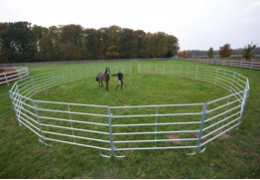 Travailler son cheval au rond de longe