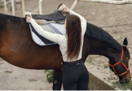 Comment seller et brider son cheval ?
